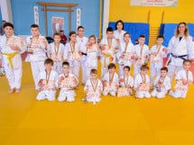 Demonstratia micilor Judoka