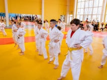 Demonstratia micilor Judoka