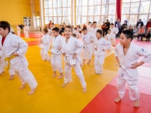 Demonstratia micilor Judoka