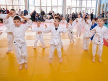 Demonstratia micilor Judoka