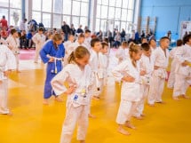 Demonstratia micilor Judoka