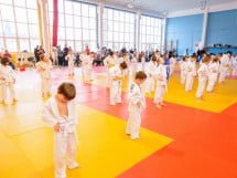 Demonstratia micilor Judoka