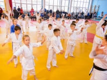 Demonstratia micilor Judoka