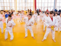 Demonstratia micilor Judoka