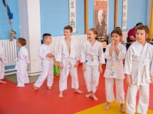 Demonstratia micilor Judoka