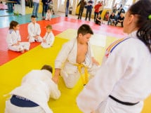 Demonstratia micilor Judoka