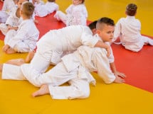 Demonstratia micilor Judoka