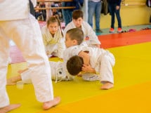 Demonstratia micilor Judoka