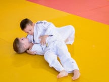 Demonstratia micilor Judoka