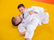 Demonstratia micilor Judoka