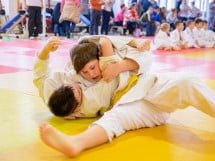 Demonstratia micilor Judoka