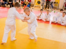 Demonstratia micilor Judoka