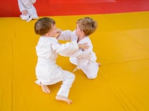 Demonstratia micilor Judoka
