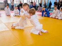 Demonstratia micilor Judoka