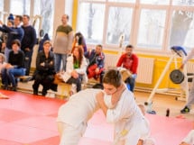 Demonstratia micilor Judoka