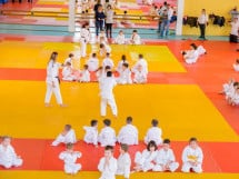 Demonstratia micilor Judoka