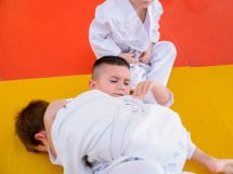 Demonstratia micilor Judoka