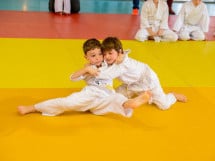 Demonstratia micilor Judoka