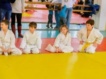 Demonstratia micilor Judoka