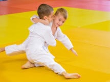 Demonstratia micilor Judoka