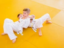 Demonstratia micilor Judoka