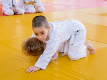 Demonstratia micilor Judoka