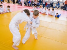Demonstratia micilor Judoka