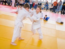Demonstratia micilor Judoka
