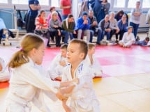 Demonstratia micilor Judoka