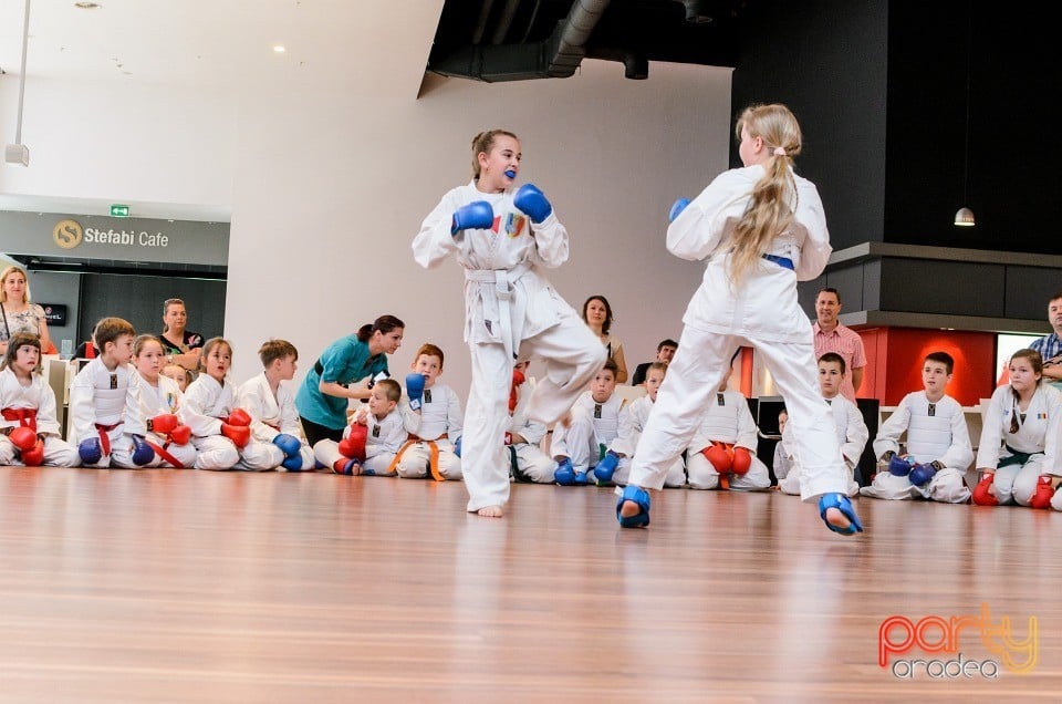 Demonstrativ Karate, 