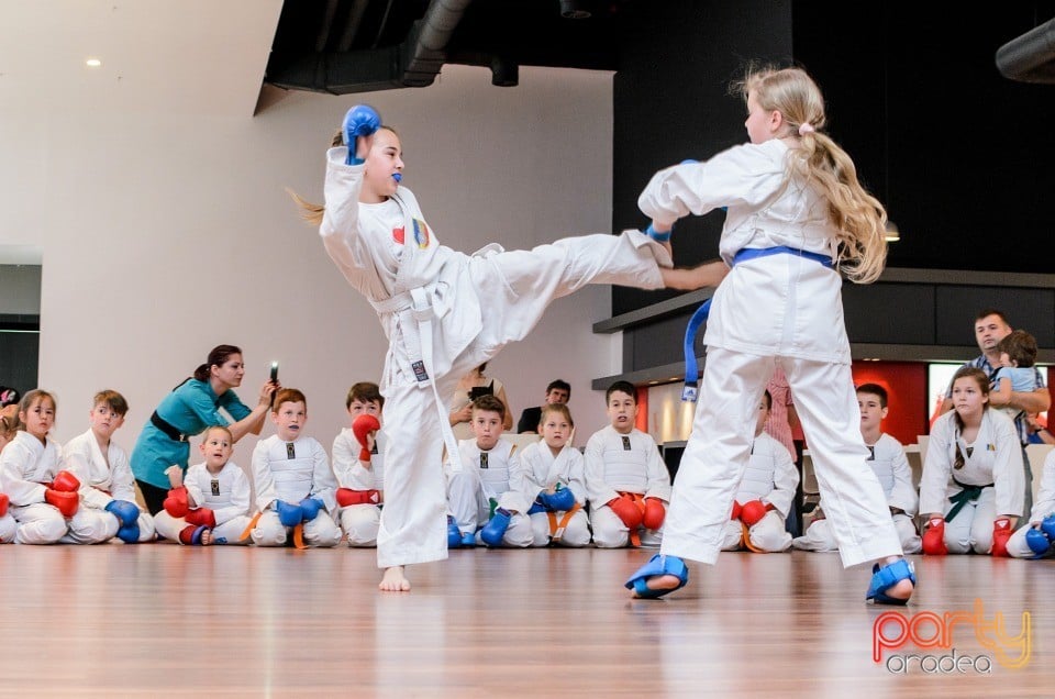 Demonstrativ Karate, 