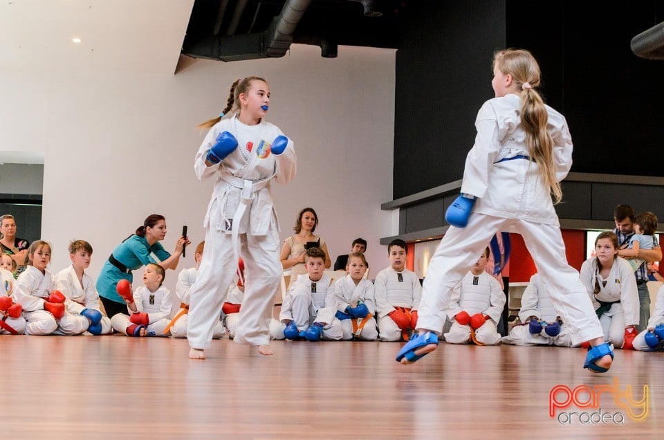 Demonstrativ Karate, 