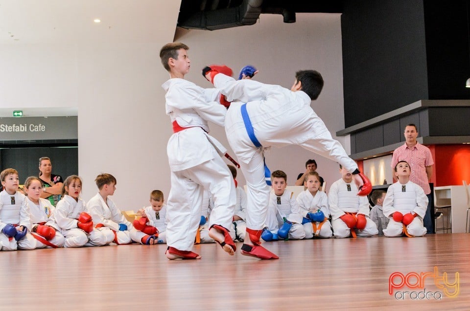 Demonstrativ Karate, 