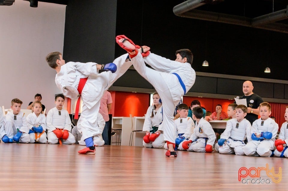 Demonstrativ Karate, 