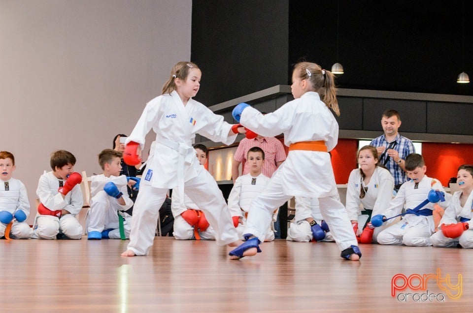 Demonstrativ Karate, 