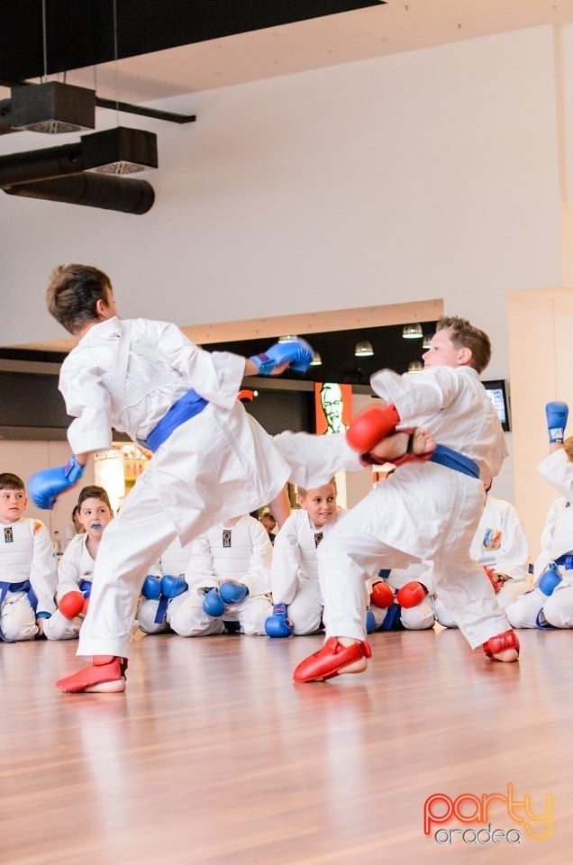 Demonstrativ Karate, 