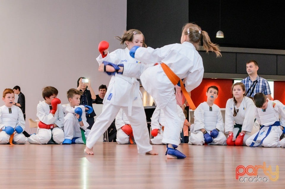 Demonstrativ Karate, 