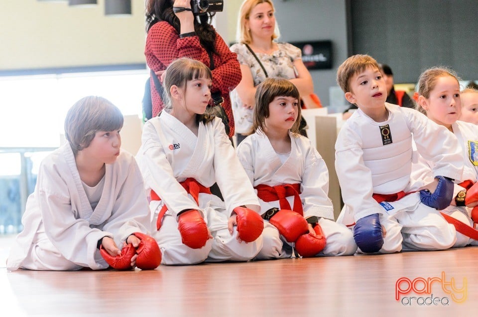 Demonstrativ Karate, 