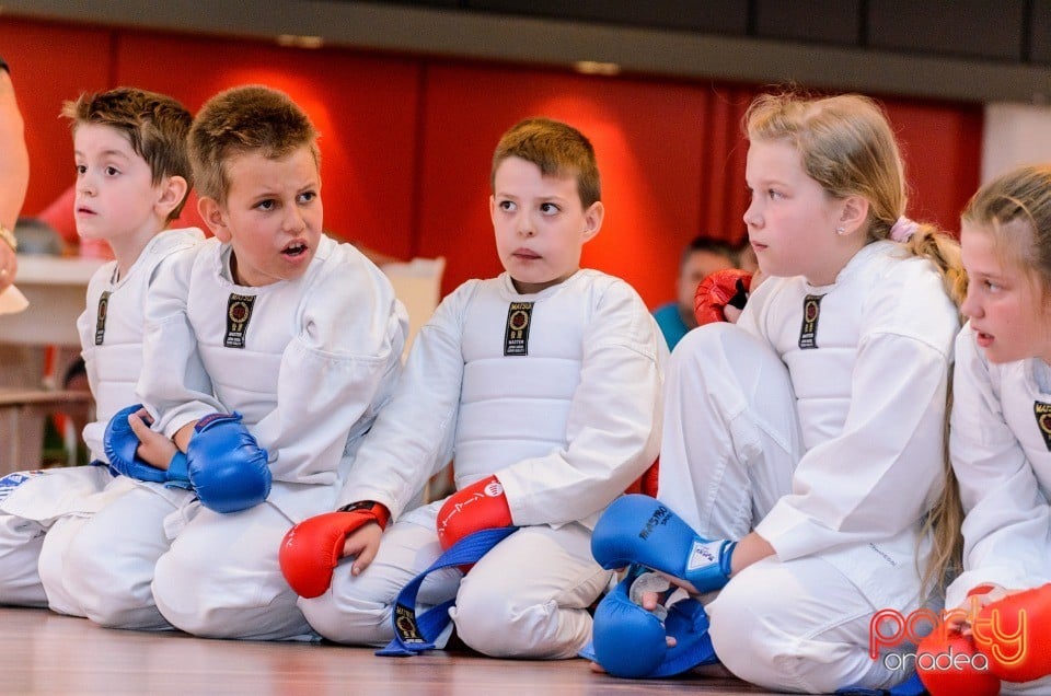 Demonstrativ Karate, 