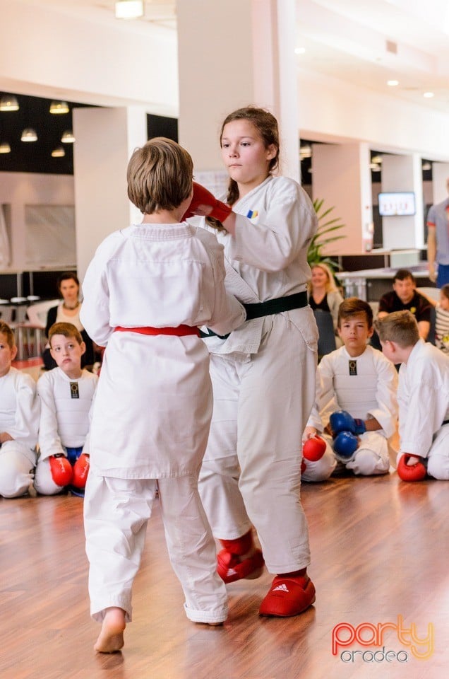 Demonstrativ Karate, 