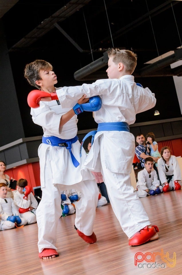 Demonstrativ Karate, 