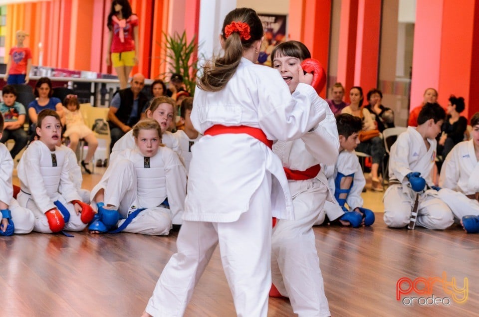 Demonstrativ Karate, 