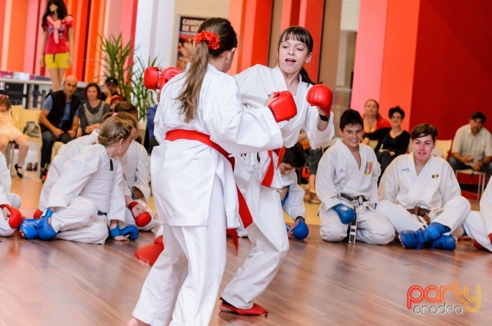 Demonstrativ Karate, 