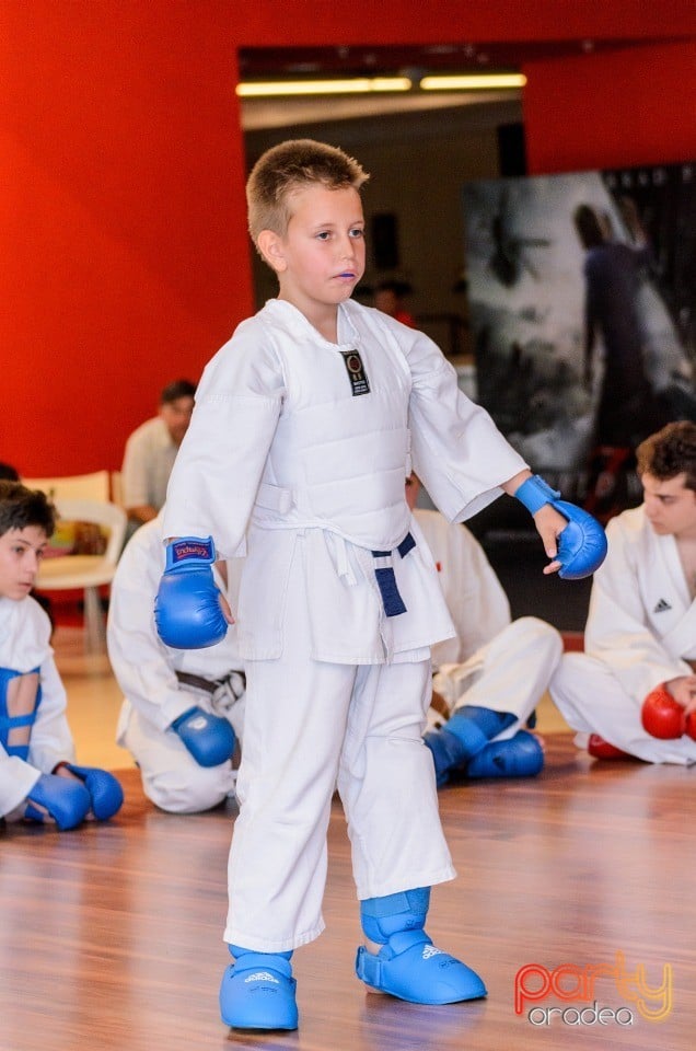 Demonstrativ Karate, 