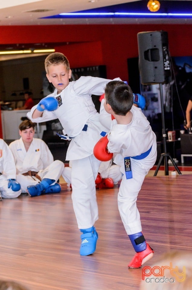 Demonstrativ Karate, 