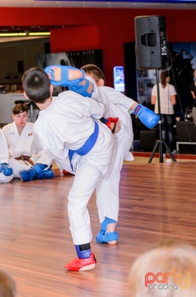 Demonstrativ Karate, 