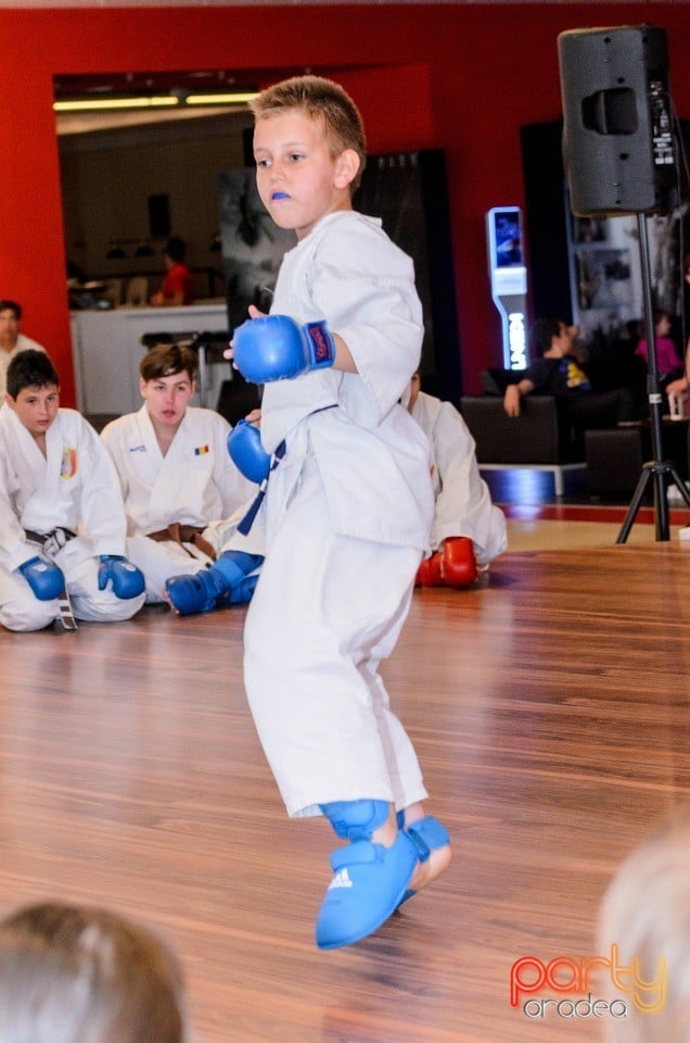 Demonstrativ Karate, 