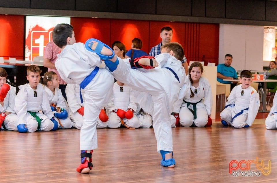 Demonstrativ Karate, 