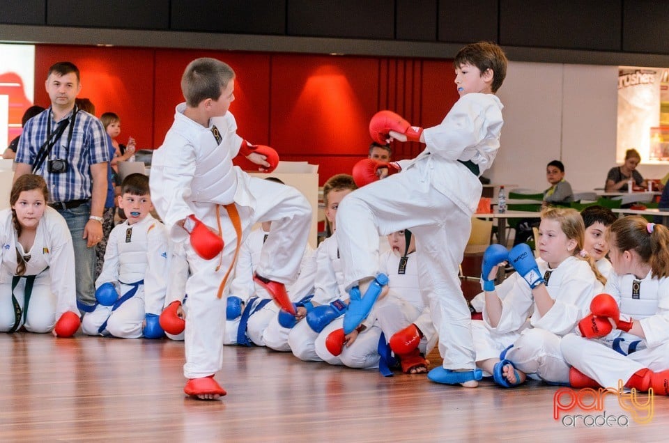 Demonstrativ Karate, 