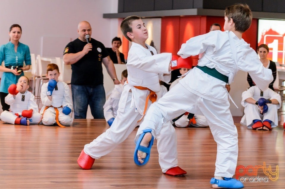 Demonstrativ Karate, 